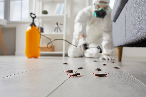 Trusted Fumigation Services service in Belwood, NC - Nex Pest Control