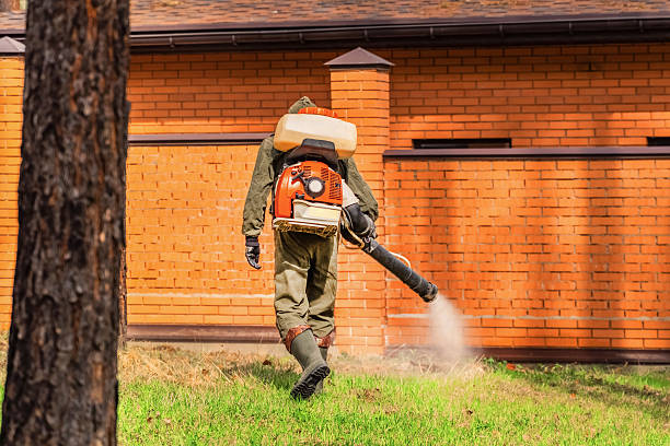 Trusted Rodent Control service in Belwood, NC - Nex Pest Control